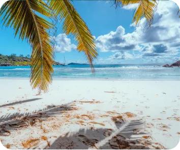 Complete Andaman tour package from Bhopal