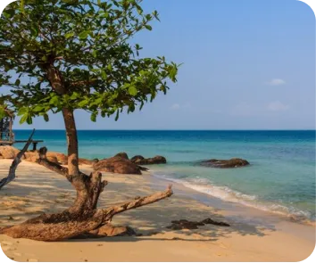 Complete Andaman tour package from Gujarat