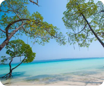 Complete Andaman tour package from Mysuru