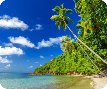 Andaman and Nicobar tour package from Surat