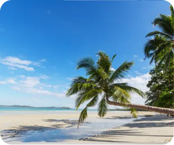 Andaman vacation package from Srinagar