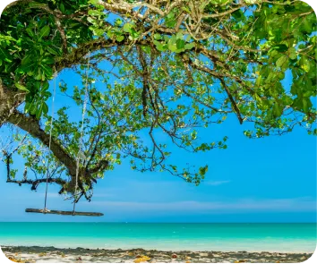 Andaman and Nicobar tour package from Agra