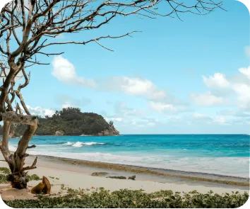 Andaman vacation package from Bhopal