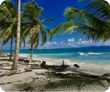 Andaman vacation package from Indore