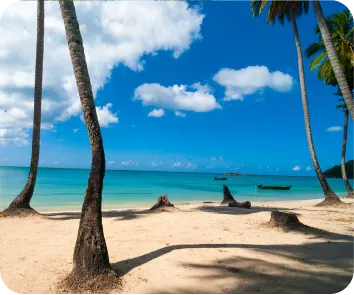 Andaman and Nicobar tour package from Kochi