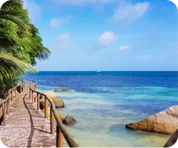 Andaman vacation package from Surat