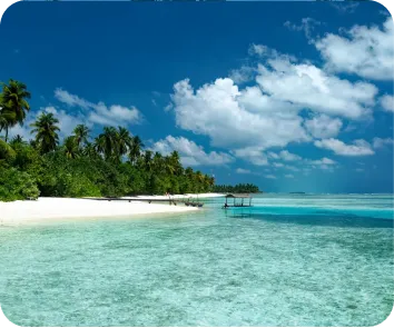 Andaman and Nicobar tour package from Indore