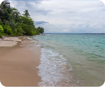 Complete Andaman tour package from Jaipur