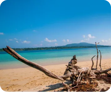 Andaman and Nicobar tour package from Kanpur