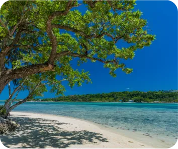 Complete Andaman tour package from Srinagar