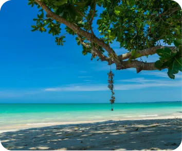 Complete Andaman tour package from Vishakhapatnam