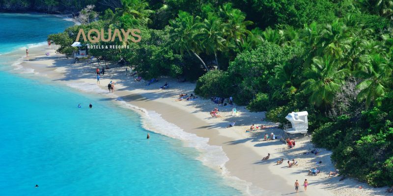 andaman holiday package from chennai