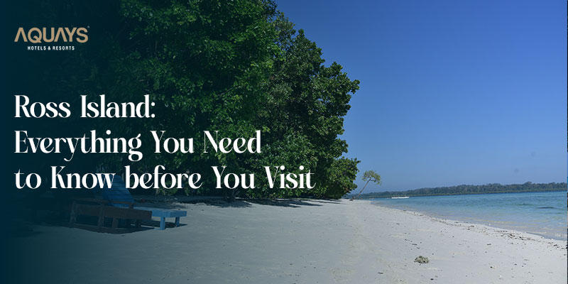 Good Restaurants in Havelock